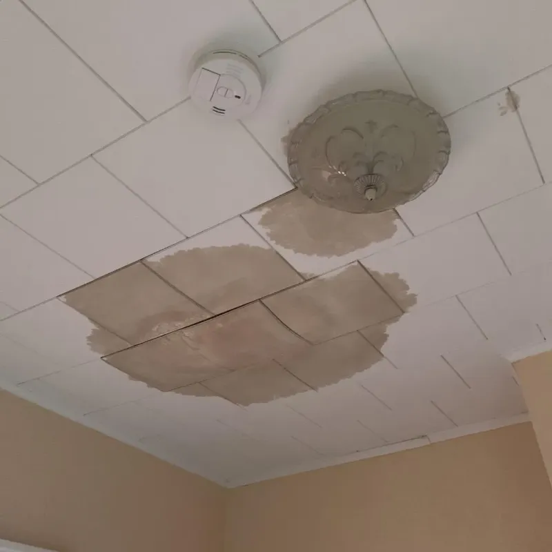 Ceiling Water Damage Repair in Harvey, LA